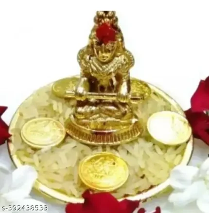 Pure Brass mata Annapurna devi statue with plate free maata & kashi vishvanath Coin