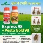 98% Power – 100% Growth!"